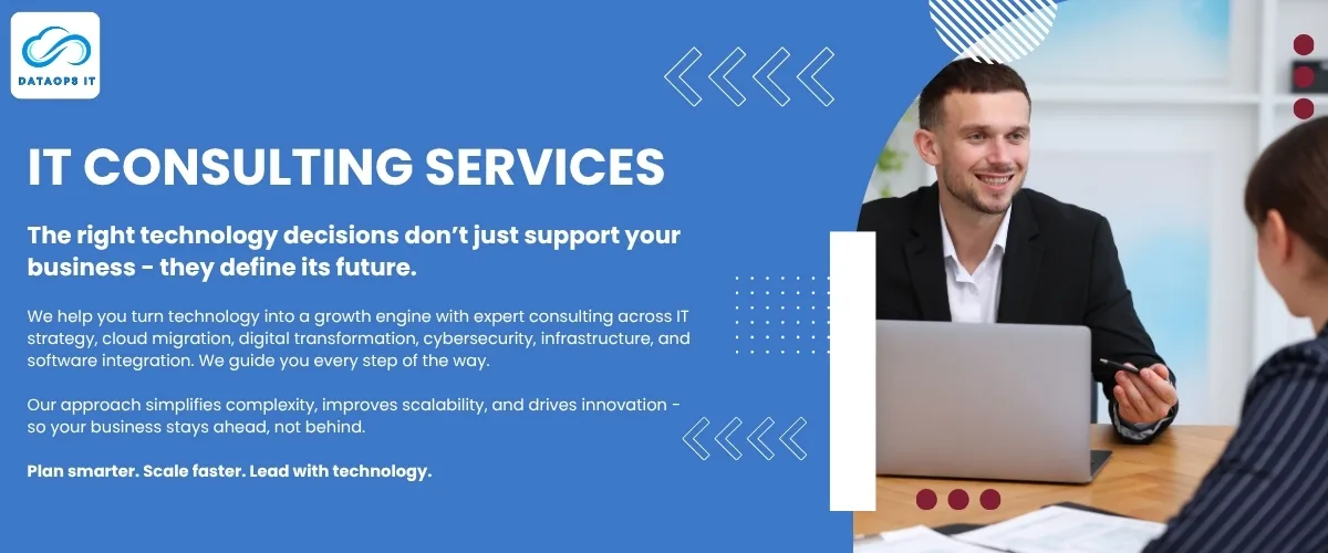 IT CONSULTING SERVICES