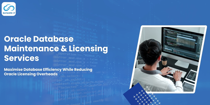 Oracle Database Maintenance & Licensing Services